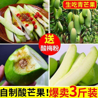 生芒果新鲜酸芒果生吃酸脆青芒果孕妇水果腌制辣嘢海南生牙芒包邮图5