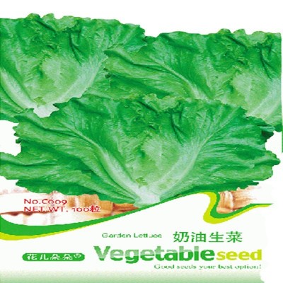 批发彩包蔬菜种子 奶油生菜种子500粒一包四季易播 量大按斤批发图4