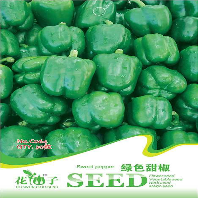 绿色甜椒