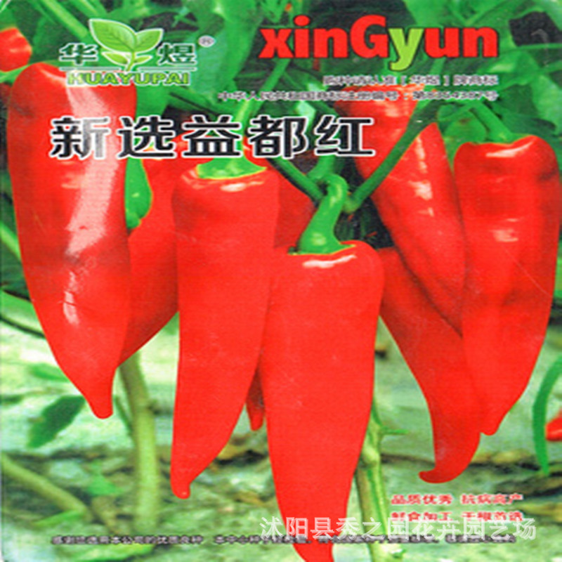 益都红辣椒