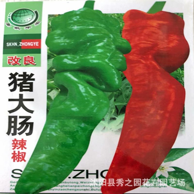 辣椒