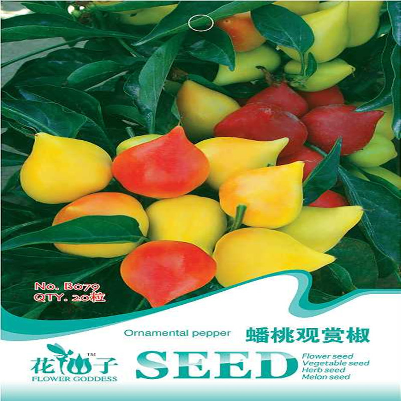 蟠桃观赏椒