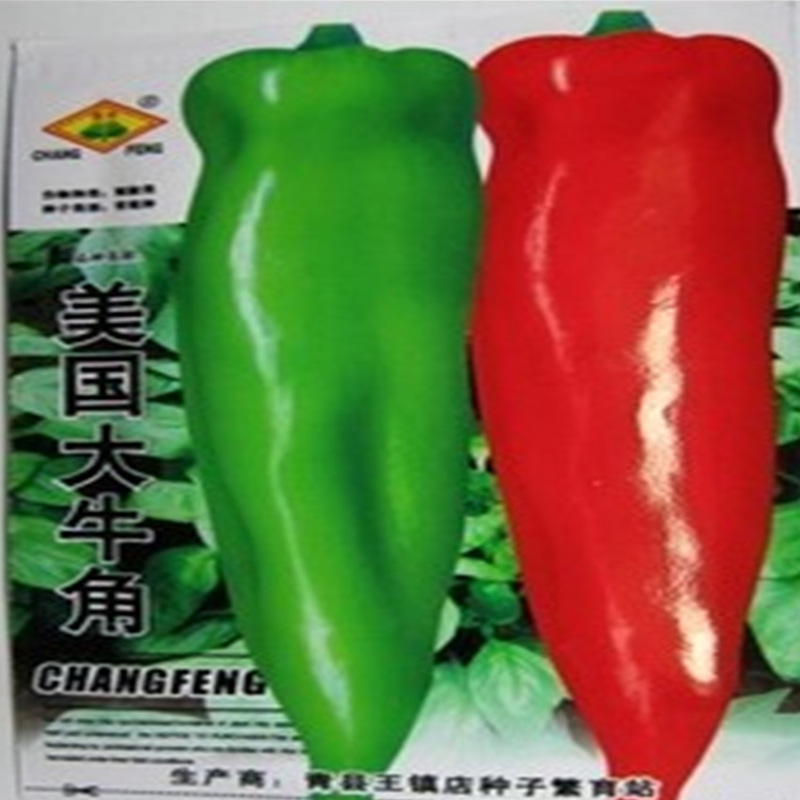 大牛角椒