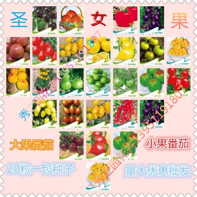 批发四季蔬菜30种番茄种子 紫圣女果种子西红柿 20粒一包小西红柿图3