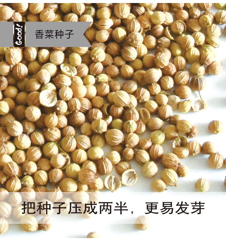 香菜03-6