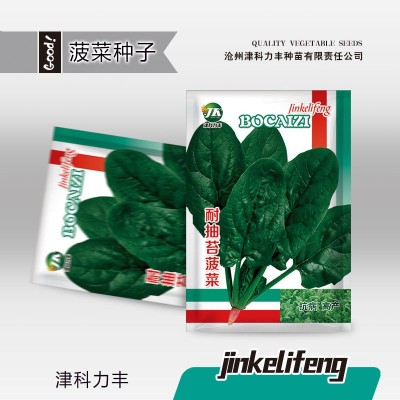 耐抽苔菠菜种子抗热耐寒深绿大叶圆叶蔬菜种籽四季播种易种菜籽种图2