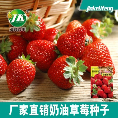 厂家直供四季播种奶油草莓种子室内阳台盆栽水果种籽田园瓜果种子