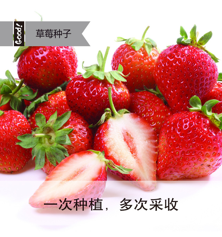 奶油草莓03-2