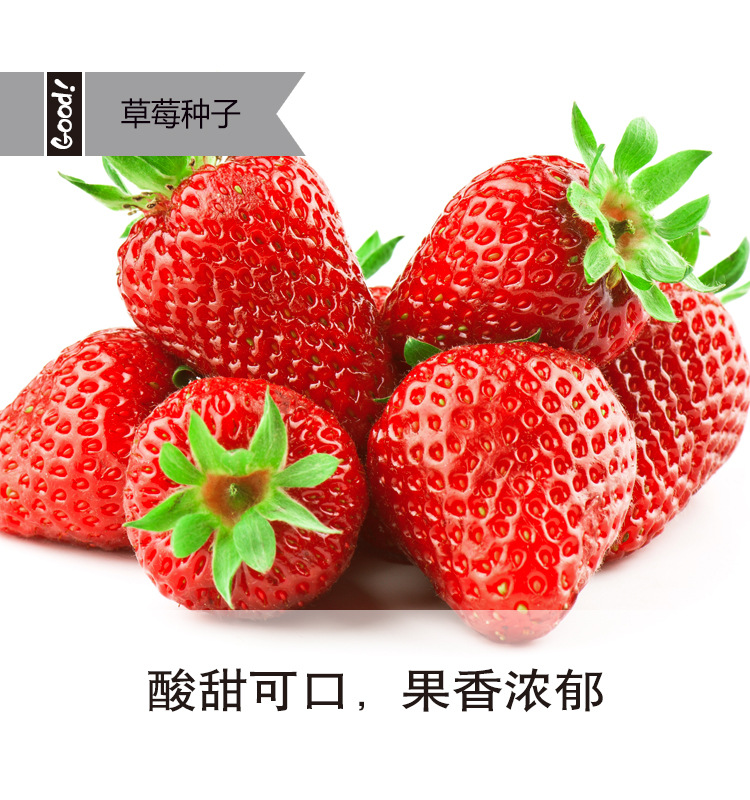 奶油草莓03-3