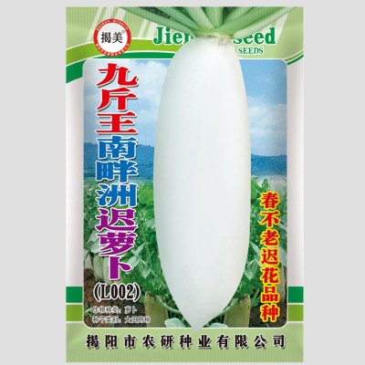 揭美南畔洲晚萝卜九斤王萝卜种子 晚白萝卜 原厂彩袋包装25克装