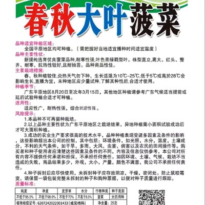 揭美25克春秋大叶菠菜种子 耐寒抗热菠菜籽 阳台田园种植蔬菜种子图2