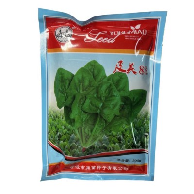 厂家专供及美88菠菜种子 农田种杂交可盆栽大圆叶肉厚菠菜蔬菜籽图5