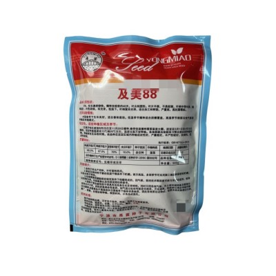 厂家专供及美88菠菜种子 农田种杂交可盆栽大圆叶肉厚菠菜蔬菜籽图2