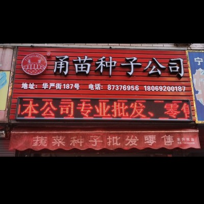 厂家黑帅青菜蔬菜种子水培蔬菜无土栽培耐高温成熟快青菜种子批图2