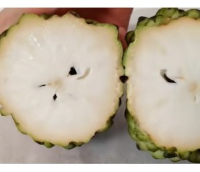 挑战品尝奇葩水果，没想到灭霸吃过的果子，味道这么难吃！