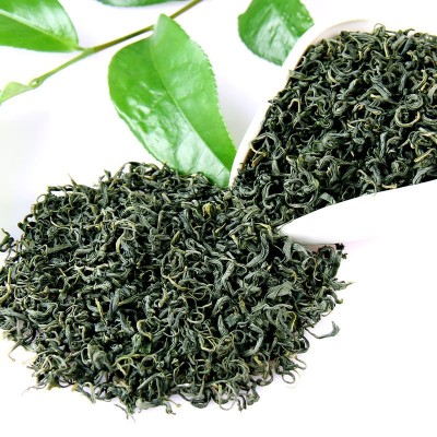 九龙山2023新茶厂家直供明前云雾高山绿茶特级春茶叶散装袋装批发图2