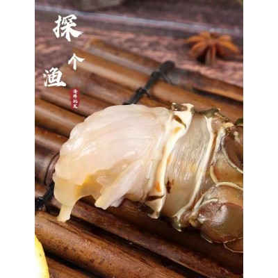厂家直供小青龙虾鲜活速冻大龙虾大青龙花龙东山岛大海虾厂家直供图3