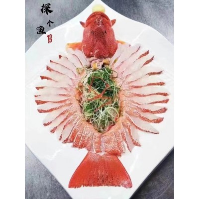 厂家东星斑大红斑深海活冻大石斑鱼海南燕尾斑可刺身酒店餐饮直供图4