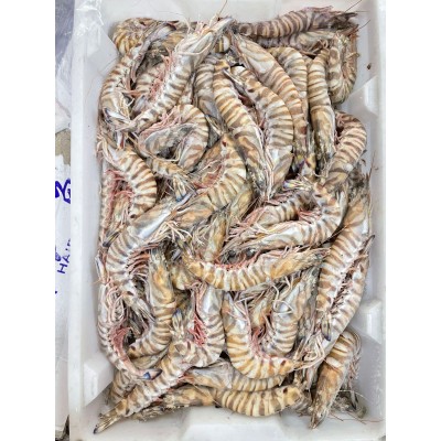 舟山黑虎虾野生大基围虾竹节虾斑节虾九节虾日本对虾液氮速冻海鲜图2