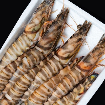 舟山黑虎虾野生大基围虾竹节虾斑节虾九节虾日本对虾液氮速冻海鲜图3