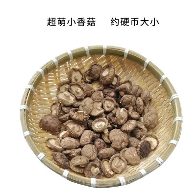 特小香菇金钱菇煲汤黄焖鸡食材西峡干货肉厚冬菇香菇产地直发图3