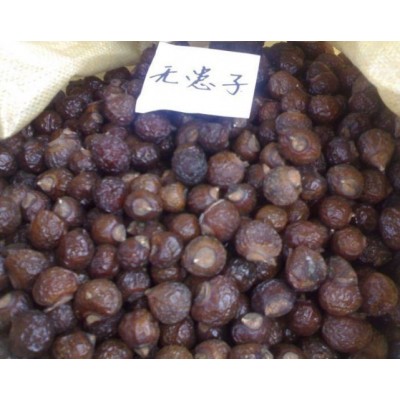 【正诚药业】中药材 无患子 量大从优图2