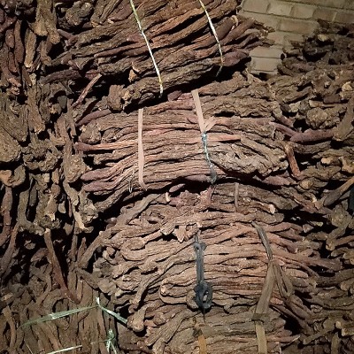 大量批发内蒙古阿拉善大漠金锁阳泡酒泡茶滋补农产品荒漠精选锁阳