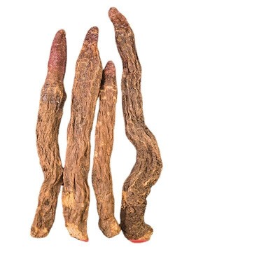 大量批发内蒙古阿拉善大漠金锁阳泡酒泡茶滋补农产品荒漠精选锁阳图5