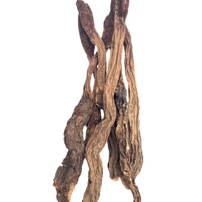 批发内蒙产地泡酒熬汤泡茶金锁阳大漠双雄整根精选锁阳6根1斤图5