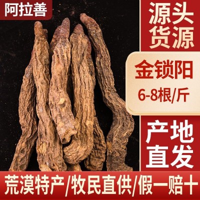 批发内蒙产地泡酒熬汤泡茶金锁阳大漠双雄整根精选锁阳6根1斤图1