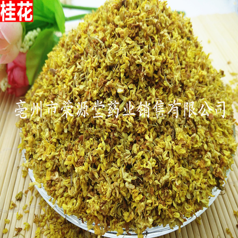 中药材图片3 383_副本