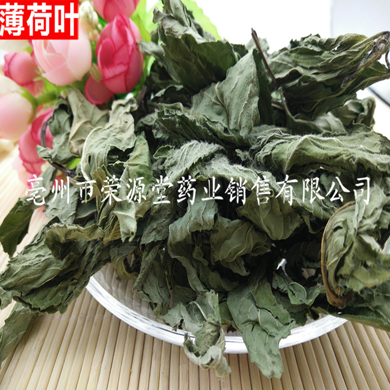 中药材图片3 393_副本