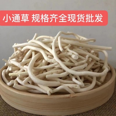 通草中药材批发小通草 大通草 通草规格齐全 实物拍摄 量大价优