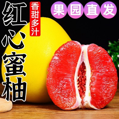 源头供应红心蜜柚新鲜柚子水果包邮一件代发 1箱