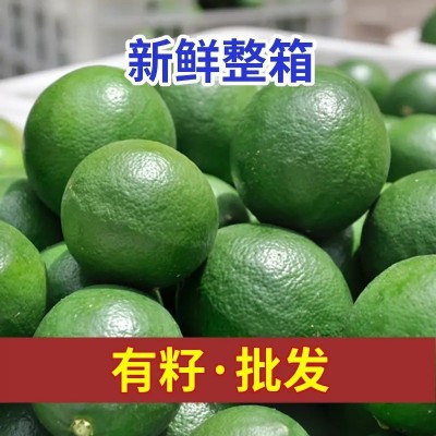 万州青柠檬北京青个头大皮薄多汁清香柠檬奶茶店青柠檬 500斤