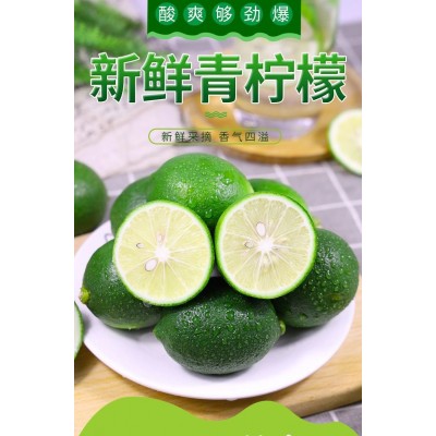 万州青柠檬北京青个头大皮薄多汁清香柠檬奶茶店青柠檬 500斤图2