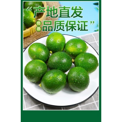 万州青柠檬北京青个头大皮薄多汁清香柠檬奶茶店青柠檬 500斤图4