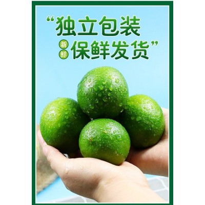 万州青柠檬北京青个头大皮薄多汁清香柠檬奶茶店青柠檬 500斤图3