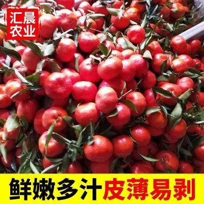 万州古红桔原产地色大红袍个大皮薄口感酸甜是可做陈皮须核可入药 10斤图2