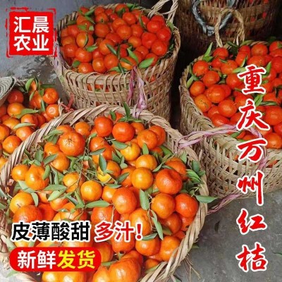 万州古红桔原产地色大红袍个大皮薄口感酸甜是可做陈皮须核可入药 10斤图4