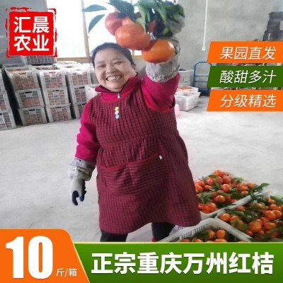 万州古红桔原产地色大红袍个大皮薄口感酸甜是可做陈皮须核可入药 10斤图5
