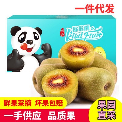 一级果纯甜四川蒲江红心猕猴桃奇异果新鲜当季水果批发代发品质果 2箱