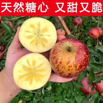 2023年大凉山盐源丑苹果糖心苹果脆甜多汁新鲜采摘脆苹果一件代发 2箱