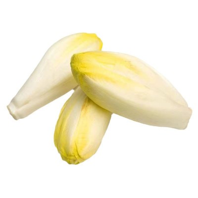 金玉兰菜种子菊苣菜欧洲王子菜营养软化菊苣多年生四季蔬菜种籽苗 2袋图5
