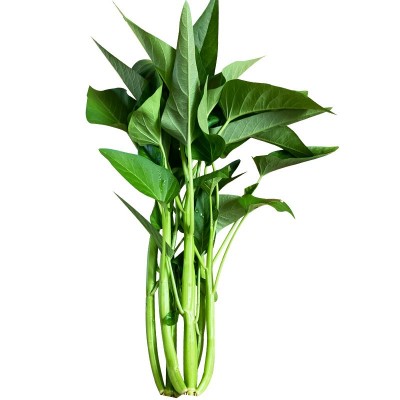 空心菜种子厂家直销批发三叉高产通心菜种籽四季耐热夏季小青菜种 2袋图4