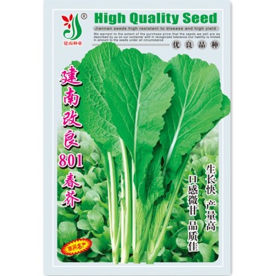 建南改良801春芥种子芥菜种籽春菜四季播高产口感好蔬菜种子公司 2袋