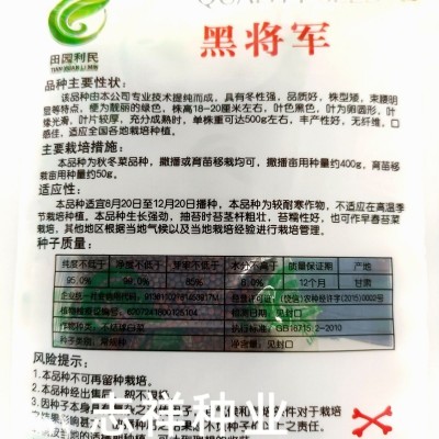 黑将军黑叶矮脚苏州青种子黑大头抗寒肉厚青梗菜小青菜籽秋冬30克 2袋图2