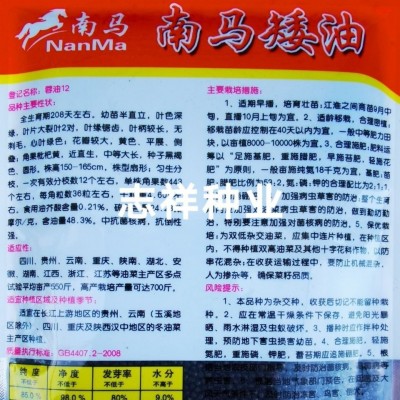 杂交油菜籽种子批发 南马矮油油菜种子 矮杆秋播油菜籽 耐寒80克 2袋图2