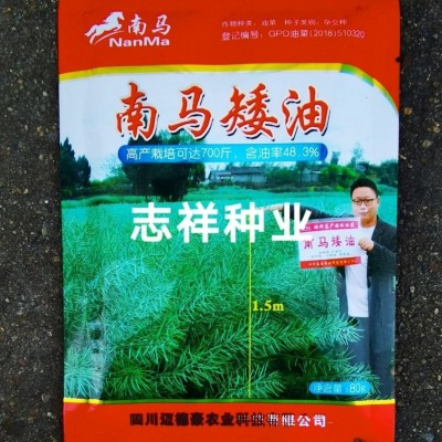 杂交油菜籽种子批发 南马矮油油菜种子 矮杆秋播油菜籽 耐寒80克 2袋