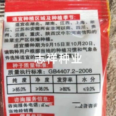 中油大地199杂交油菜种子 榨油油菜籽高油抗倒抗病90克 2袋图4